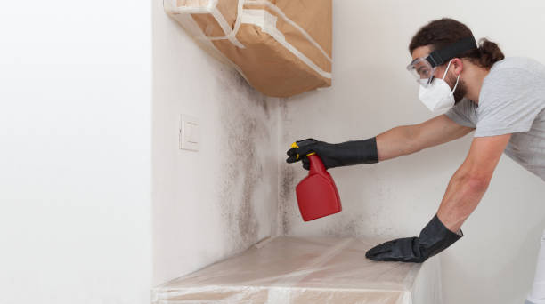 Professional Bathroom Mold Removal technician working in Saratoga, NC