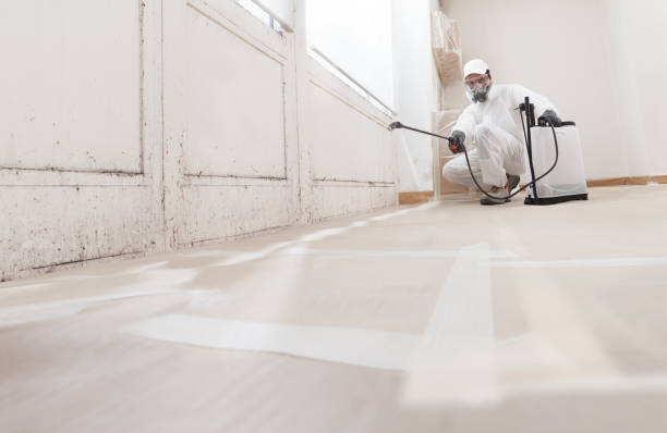 24/7 Emergency Bathroom Mold Removal experts in Saratoga, NC